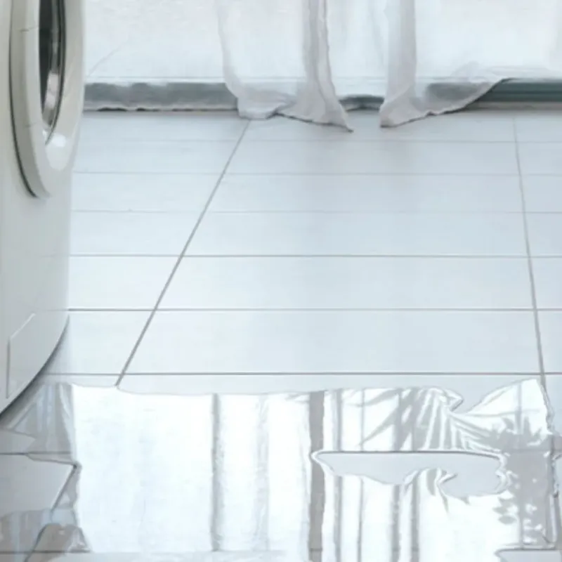 Appliance Leak Cleanup in Woodfield, SC