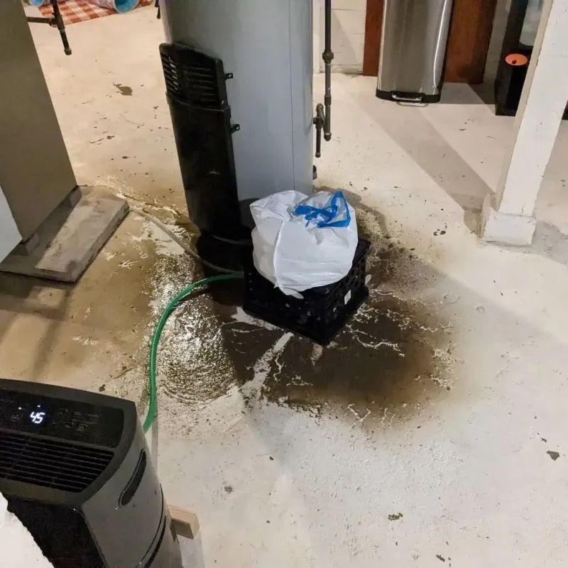 Sewage Backup Cleanup Service in Woodfield, SC